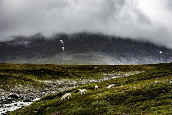 Comment découvrir les traditions de la culture basque en Espagne et en France?