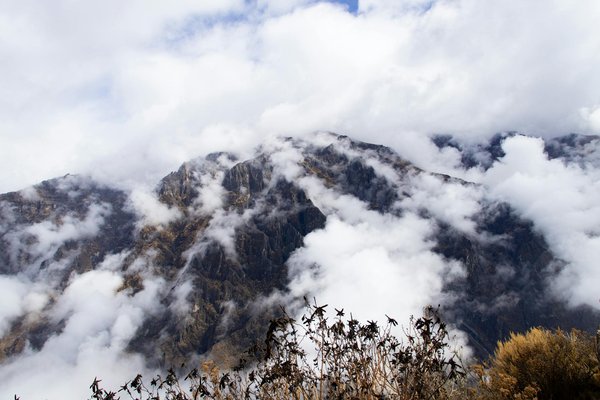 Comment découvrir les traditions de la pêche à la langouste en Bretagne, France ?